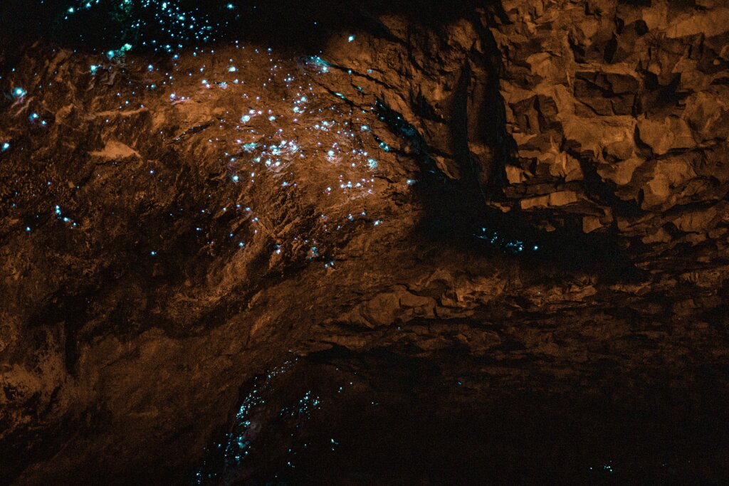 Dark cave illuminated by thousands of glowing blue-green glowworms in New Zealand.